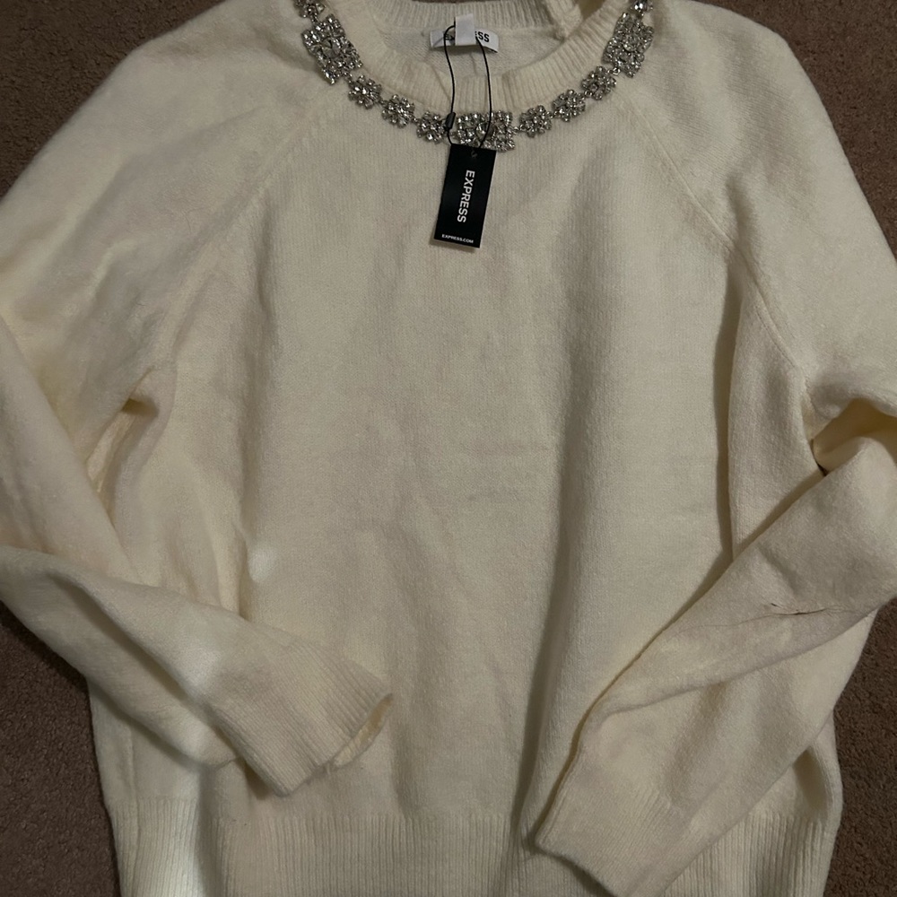 Express Jeweled sweater